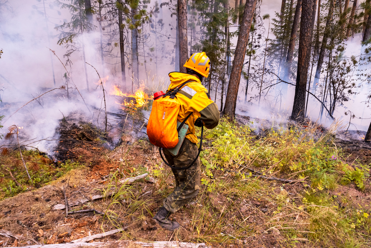 Набор кандидатов по профессии «лесной пожарный».